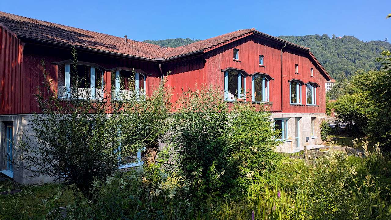 Rudolf Steiner Schule Zürich