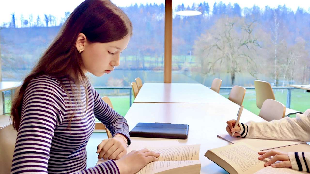 Four Forest Bilingual International School