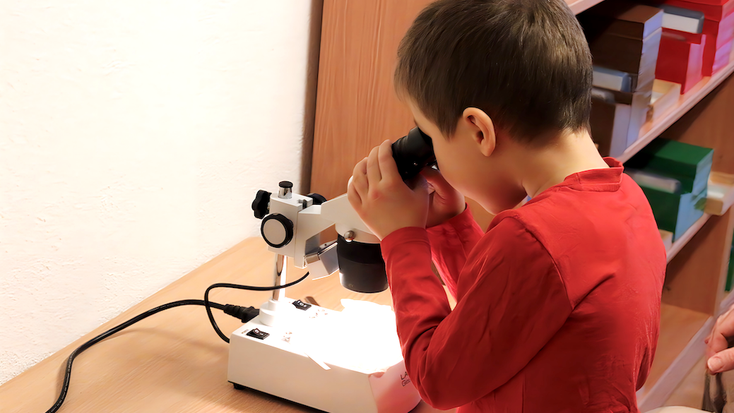 Montessori House of Kids