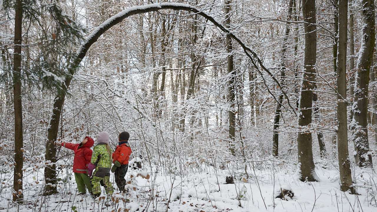 naturspielwald